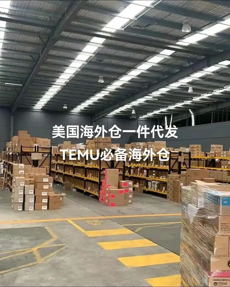 拼多多“新拼姆”案例：平台出海为什么会走向自营和本地化履约？配图 4